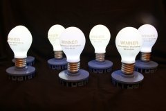 custom-led-corporate-award-light-bulb-7
