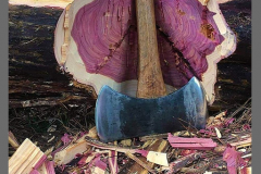 purple-heart-wood