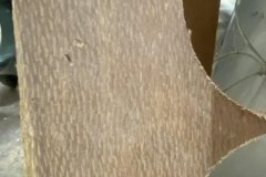 403647298_301856972322501_6690091417400518397_n