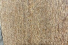 403647795_6904375039658602_7968270017148119631_n