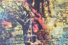 1_380382575_253199940580933_320598551386913081_n