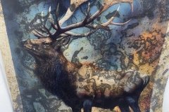 379365006_1036908834110018_8360252637992985462_n