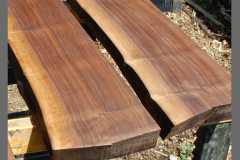 walnut.wood_.slab_